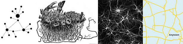Rhizomes: a diagram, a root, neurons, a map